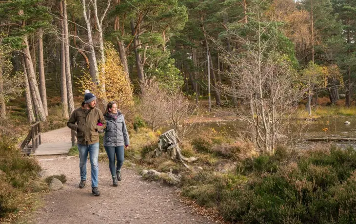 Couple enjoying an autumn woodland walk