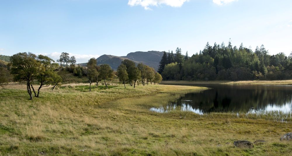 Rural Highland scene with trees, water and mountains