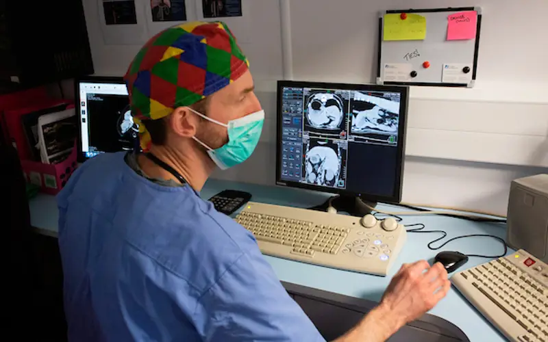 Scottish Vet Refferals 4